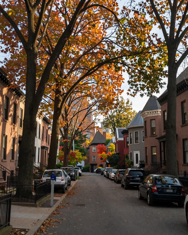 Lincoln Park Chicago greystone residential street